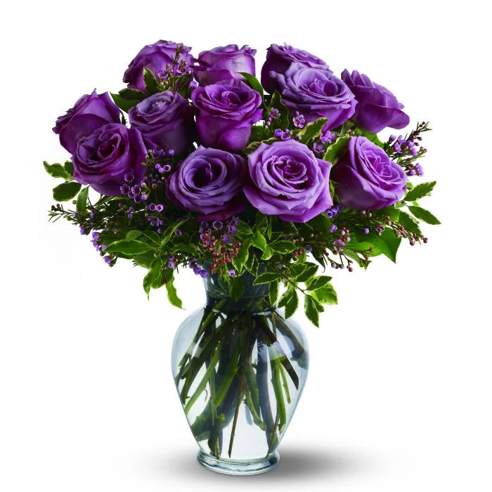 One Dozen (12) Long Stem Roses Arranged