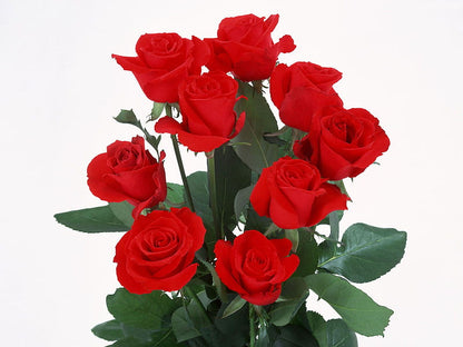 Additional Roses