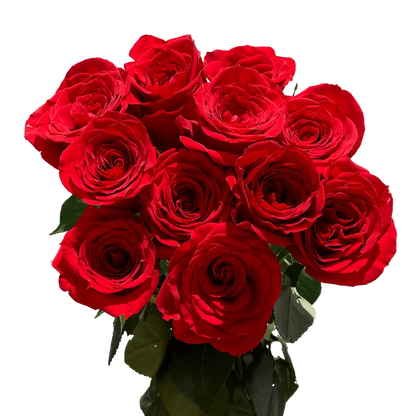 Additional Roses